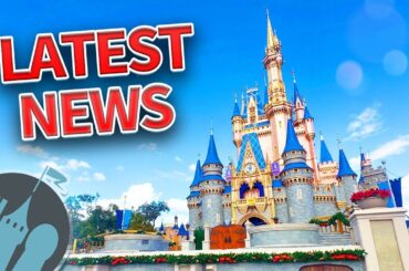 Latest Disney News: Island Tower is OPEN, Bluey Coming to Disney World & MORE!