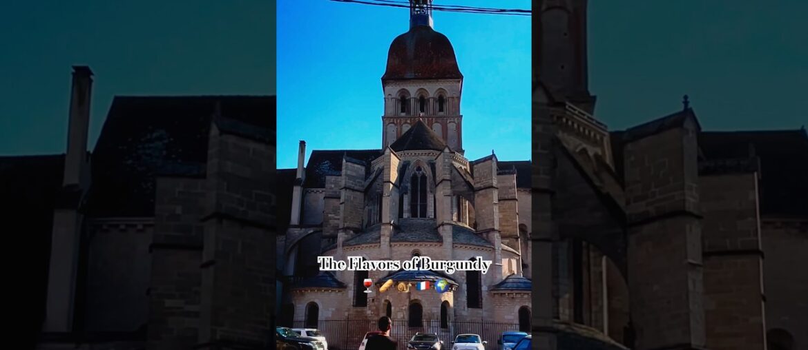 Wine tasting and snail eating in the French region of Burgundy #france #travel