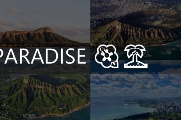 the top  best restaurants in paris france