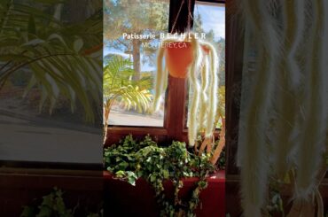 French Patisserie Bechler