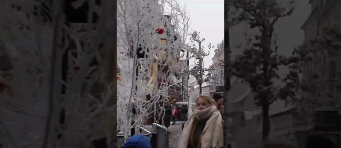 Discover Colmar’s Enchanting Christmas Market | 4K Walking Tour in France Discover Colmar's Enchanting Christmas Market | 4K Walking Tour in France