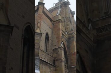 Discover Colmar's Enchanting Christmas Market | 4K Walking Tour in France