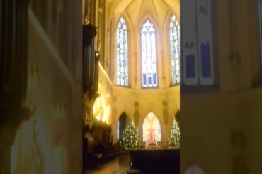 Discover Colmar's Enchanting Christmas Market | 4K Walking Tour in France