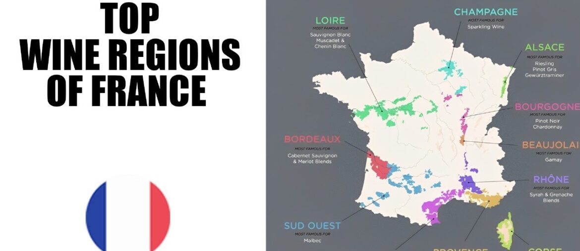 “Every French Wine and Region: Explained in 10-Minute Journey” "Every French Wine and Region: Explained in 10-Minute Journey”