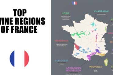 "Every French Wine and Region: Explained in 10-Minute Journey”