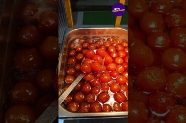 Indolian Gourmet Pizzeria | Hey Gandhinagar | Gandhinagar