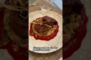 Wine hotel review - an exceptional Languedoc property #winetasting #francetrip #hotelreview #shorts