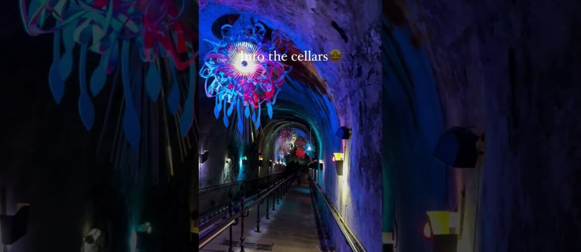 Visiting Champagne Pommery @discover_champagne #wine  #winelovers  #grape #winetime  #champagne