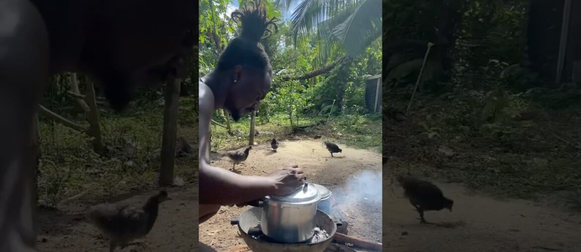 Outdoor Cooking Jamaica | Jamaican French Fried Chicken & Curry Beef #shorts #outdoorcooking #food