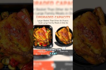 Ninja Air Fryer, Roast, Bake, Air Fry, 4-in-1, Compact, 4 QT, Grey, AF101