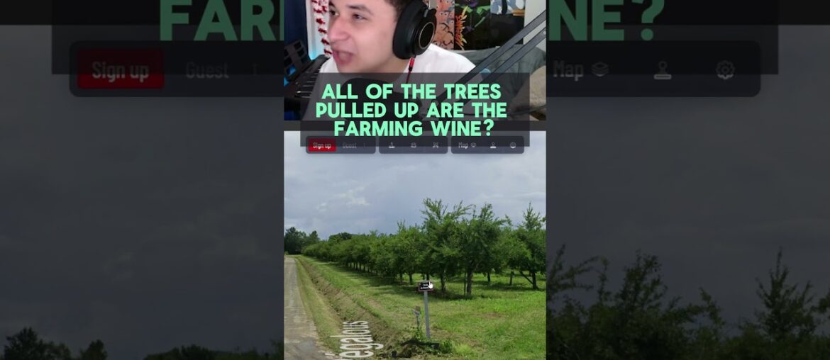 This is what the french farm on the low