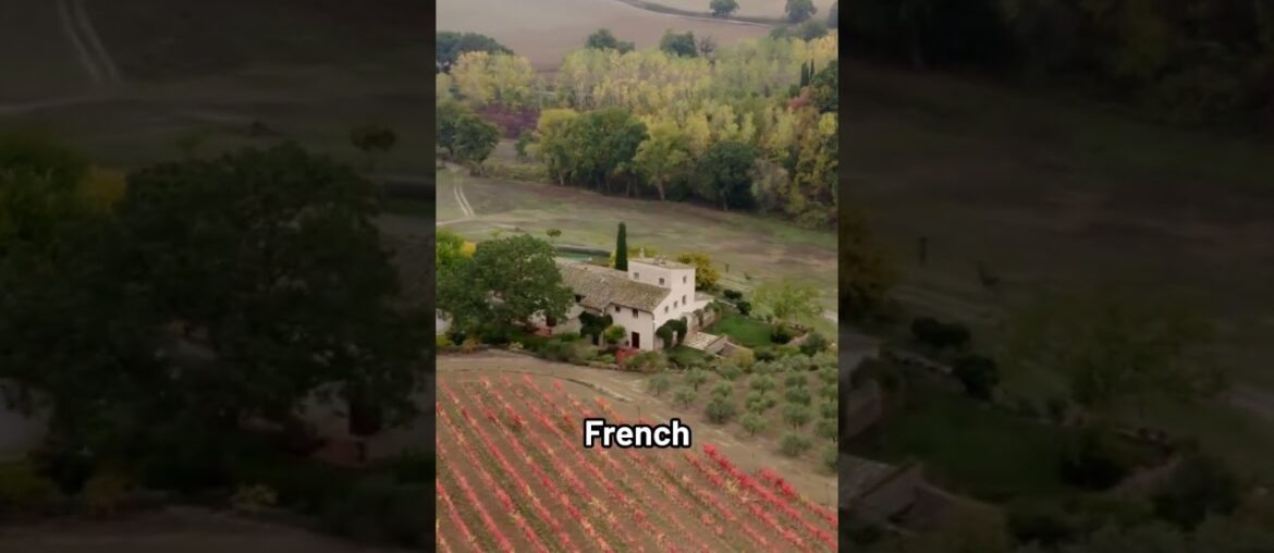 Celebrating a New Year with the Joy of Wine