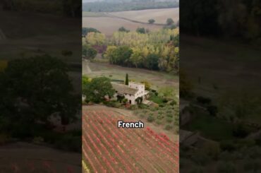 Celebrating a New Year with the Joy of Wine