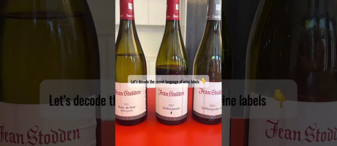 Wine Tip Tuesday: want to sound like a wine pro?