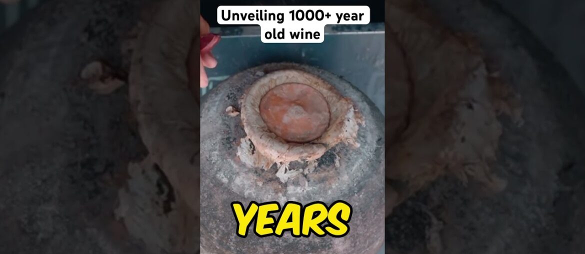 Will you try this 1000+ year old wine? #wine #shorts