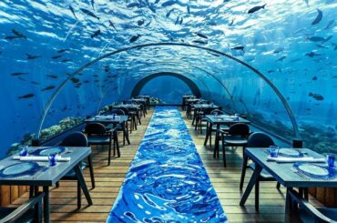 World's Most Expensive Restaurant!