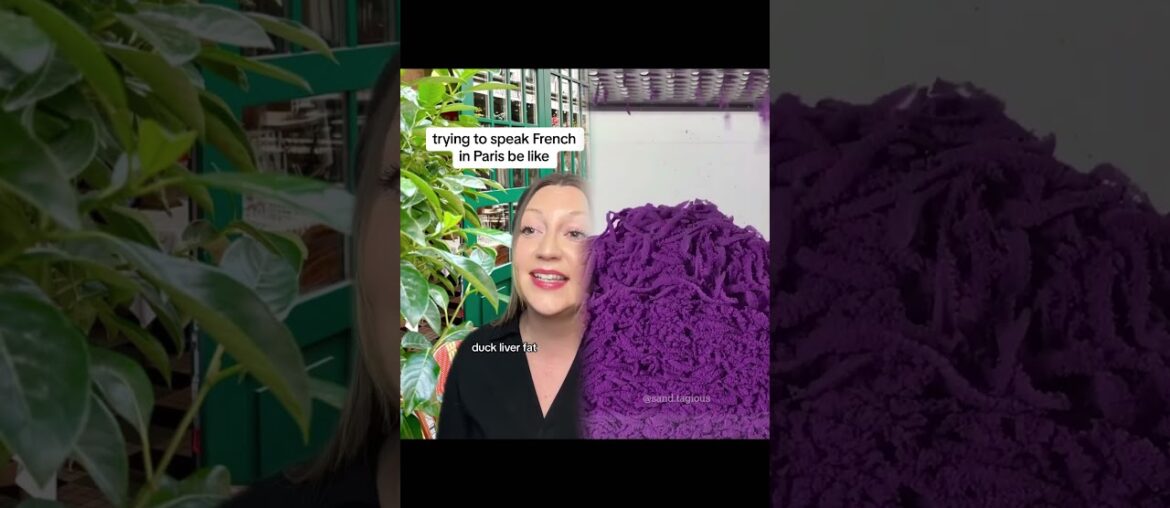 "99% of restaurants in in Paris be like. Inspired by @Maddie’s Mundo skit. #french #franceculture