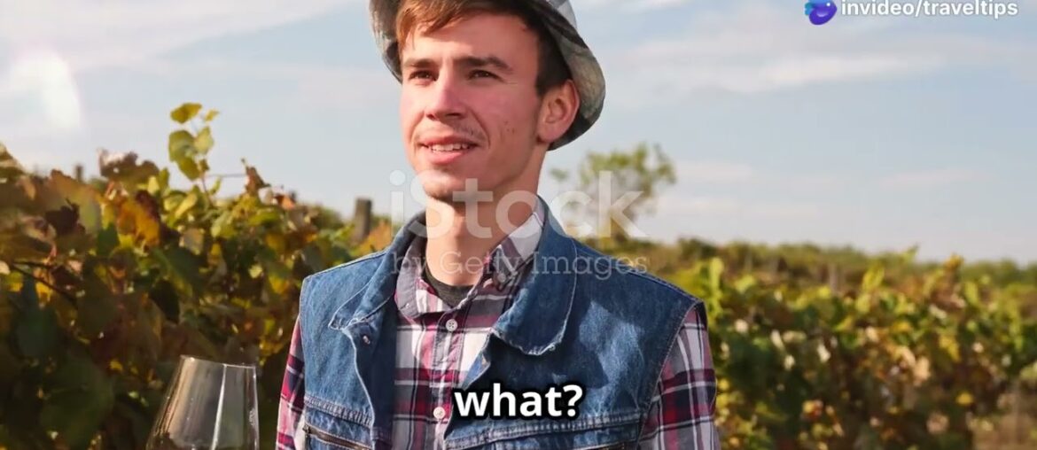 France’s Secret Wine Regions for 2025 Budget Travelers | Affordable Travel Tips France’s Secret Wine Regions for 2025 Budget Travelers | Affordable Travel Tips