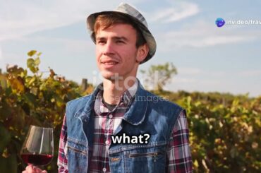 France’s Secret Wine Regions for 2025 Budget Travelers | Affordable Travel Tips