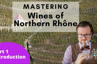 WSET L4 Mastering the Wines of the World - France - Northern Rhone Part 1 - Introduction