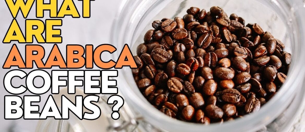 What Are Arabica Coffee Beans &  Why are they Considered the Best?