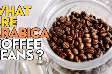 What Are Arabica Coffee Beans &  Why are they Considered the Best?