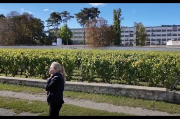 Tipsy Travelerz: We Explore Champagne, France (REIMS)! Champagne Lanson & Veuve Clicquot!