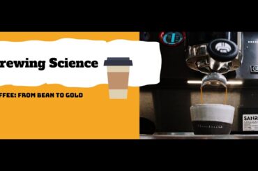 The Chemistry Behind Brewing: How Science Transforms Coffee into Liquid Gold