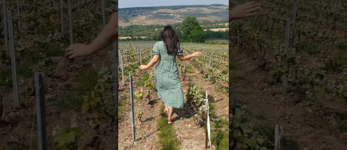 Champagne, France - May 22