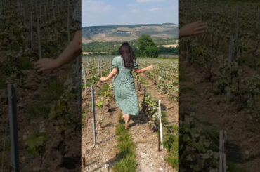 Champagne, France - May 22