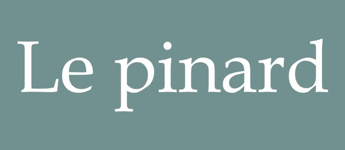 How to Pronounce ''Le pinard'' (The wine) Correctly in French