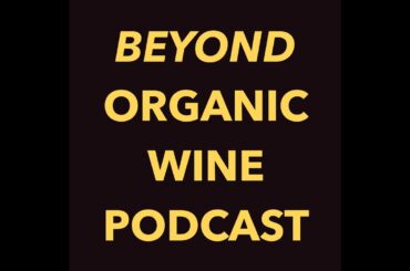 Sandra Taylor - Sustainability & The Business of Sustainable Wine