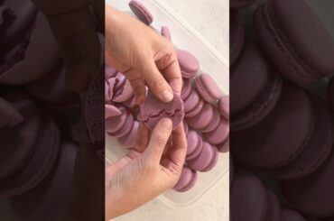 French Meringue Macaron Shells #macarons #frenchmacarons #meringue #recipes #cookies