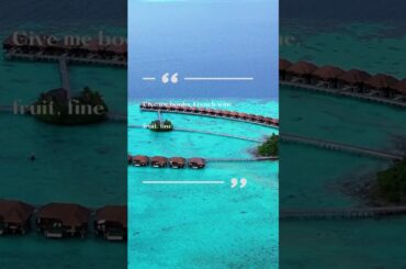 Give me books, French wine,