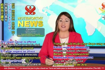 2489 NWN 6 innovative French vegan caviar launched 1080p