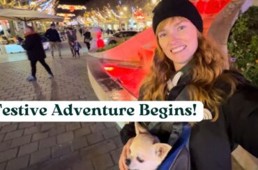 From Spain to France: Chasing Christmas Markets in a Campervan