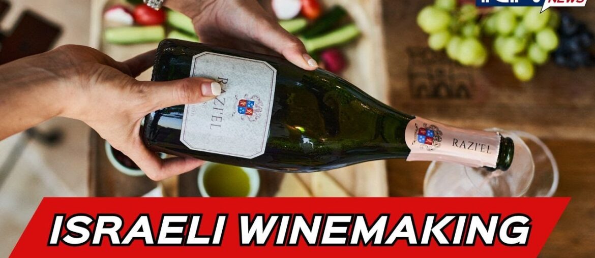 Razi’el: Pioneer Winery in the Judean Hills