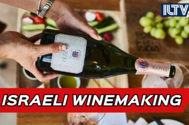 Razi’el: Pioneer Winery in the Judean Hills