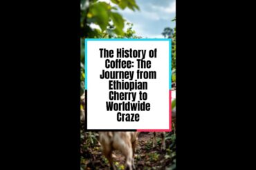 The History of Coffee: The Journey from Ethiopian Cherry to Worldwide Craze