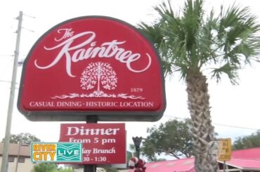 Dining at Raintree Restaurant in St. Augustine