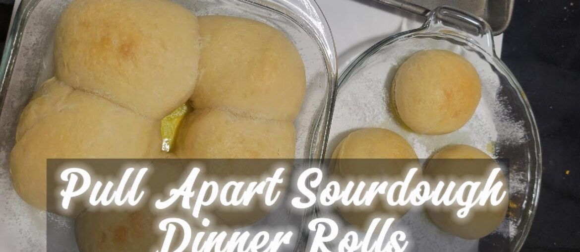 Overnight Sourdough Dinner Rolls Overnight Sourdough Dinner Rolls
