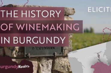 The History Of Winemaking In Burgundy
