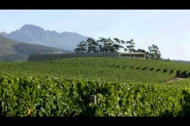 Glenelly Wine Estate: A French Adventure on African Soil