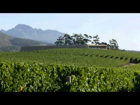 Glenelly Wine Estate: A French Adventure on African Soil Glenelly Wine Estate: A French Adventure on African Soil