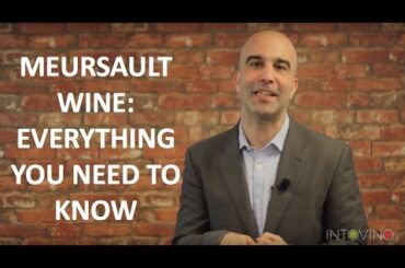 Meursault Wine: Everything you need to know