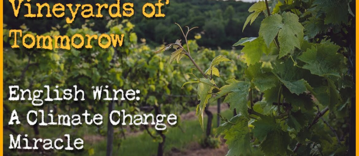 New vineyards of the world: The incredible story of English Wine [Documentary]