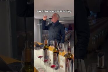 Bordeaux 2022 Day 5: Highlights from the Medoc