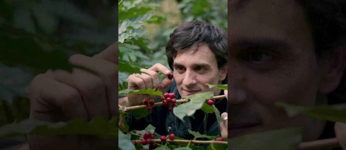 xBloom #CoffeeAcademy with Caleb | Intro + 5 interesting facts about coffee