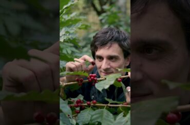 xBloom #CoffeeAcademy with Caleb | Intro + 5 interesting facts about coffee