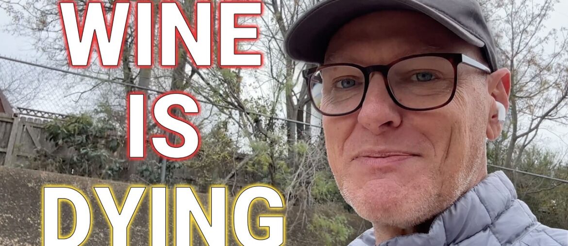 Why the Wine Industry Is Dying and the Impact on Business